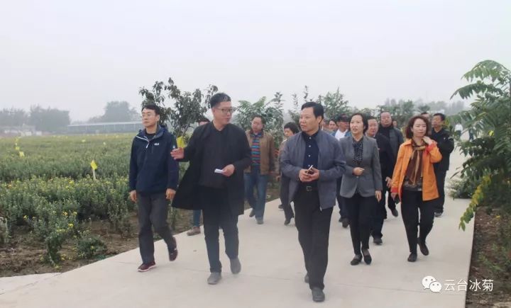 云臺冰菊基地發(fā)生了什么？一批批領導專家團隊前來！